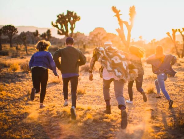 离开阿里的CEO们，从阿里学到了什么？