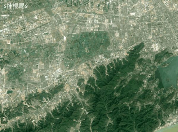 算命生意经:互联网半仙简史