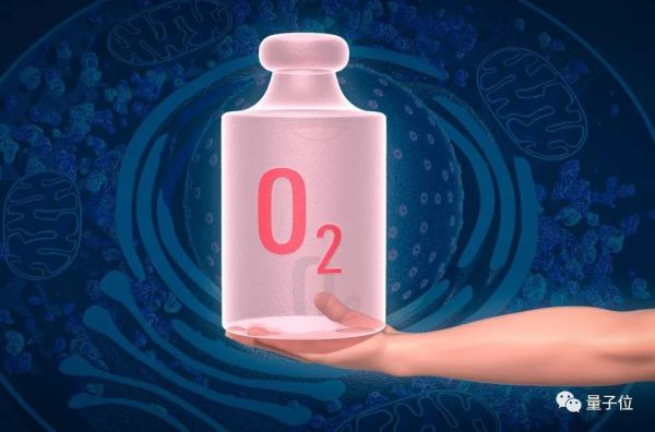 2019诺贝尔生理学医学奖率先颁出，揭秘血与氧关系，抗击肿瘤和癌症