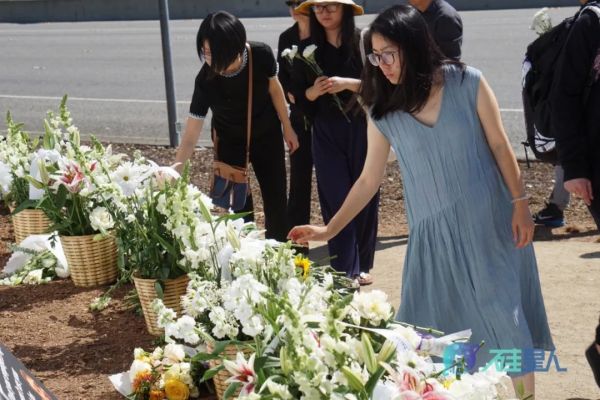 一个华人程序员纵身一跃,引发的硅谷震荡