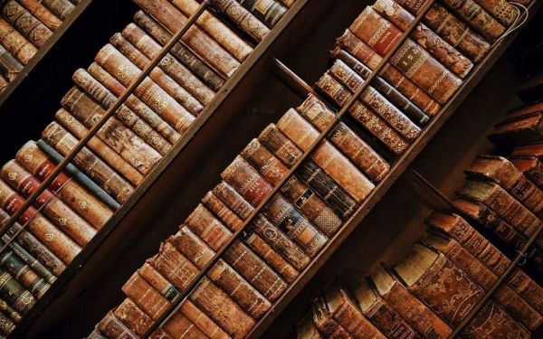 你的 Kindle 可能还在吃灰,但图书馆里借电子书的人越来越多了