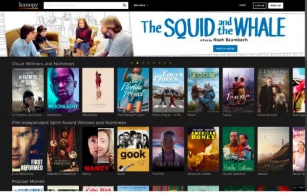 你的 Kindle 可能还在吃灰,但图书馆里借电子书的人越来越多了