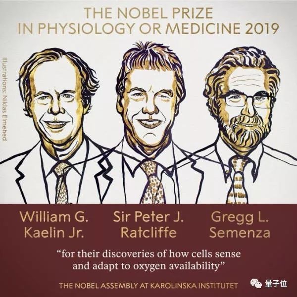 27年前被Nature拒稿,如今斩获诺贝尔奖!学术投稿模式再引热议:都有神奇的评审