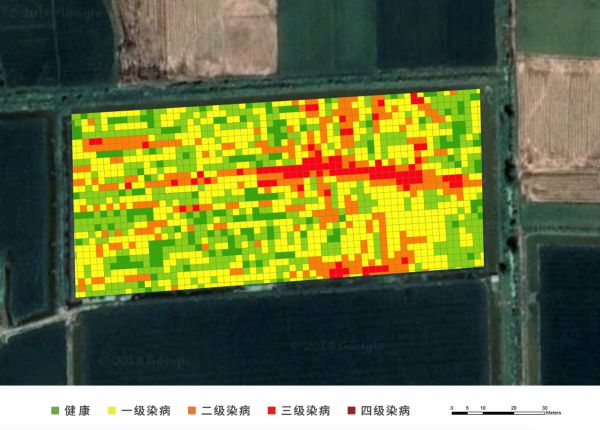 数据为轴,技术为轮,麦飞开启数字农业新格局