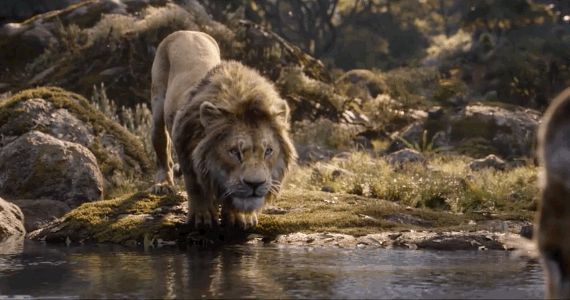 本该是含情脉脉的对视，现在却...