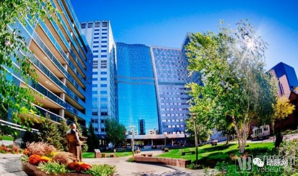 谷歌和梅奥联手合作10年!科技巨头如何成为医疗数字化转型的推进器?