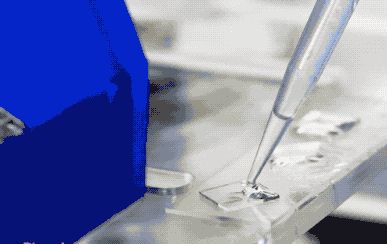 24小时立等可住,用水盖出来的房子你敢住吗?