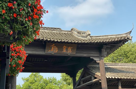 乌镇时间进入第二天!5G成新贵 AI论坛依然爆满