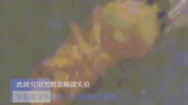 最新研究说对着屏幕伤眼伤脑还加速衰老，可是你舍得放下手机吗