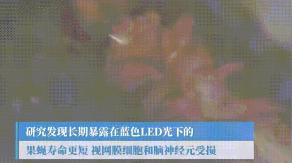 最新研究说对着屏幕伤眼伤脑还加速衰老，可是你舍得放下手机吗