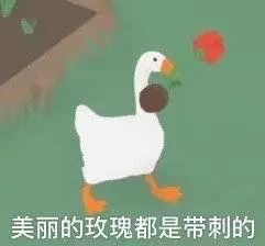 每一个玩了这游戏的人,都在学鹅叫