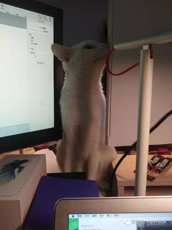 CEO来信 | 面包多创始人王登科:创业的这三年