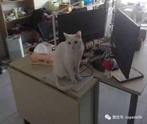 CEO来信 | 面包多创始人王登科:创业的这三年