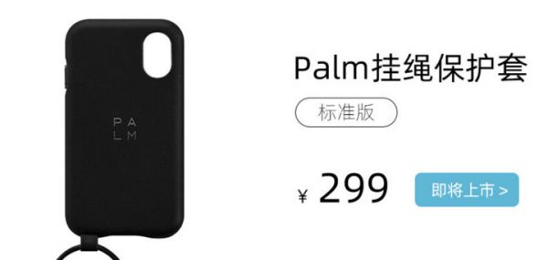重回中国的 Palm，道阻且长