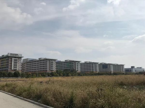 探访上海“苹果工厂”:最近天天加班;双11不怕买不到暗夜绿