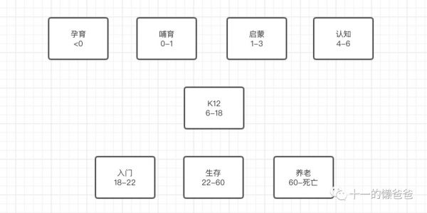 除了K12,教育行业还有哪些机会