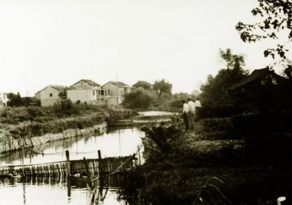 揭秘“创业公司”张江高科成长史:从农田到上海“西二旗”