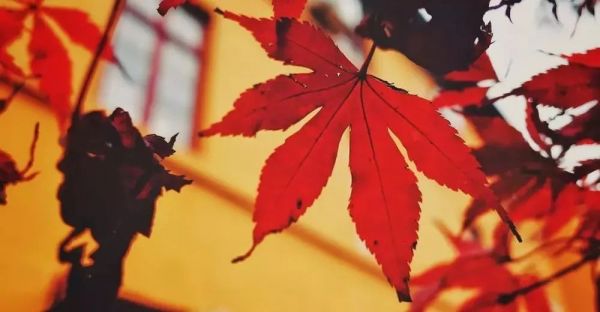 “我在阿里做了4年BP,有了11点反思”