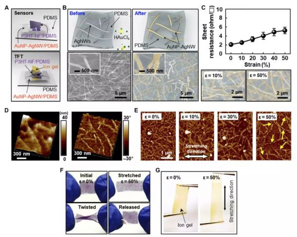 给你的手机挠痒痒:巴黎电信为电子设备穿上“皮肤”,爱抚捏脸都能回应
