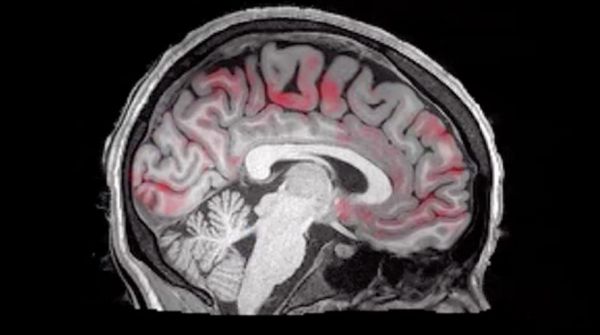 科技神回复 | 微软日本试行四天工作制效率提高近40%,怎么让老板看到这个新闻