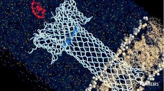 潮科技 | 利用毒素开发细胞级生物传感器