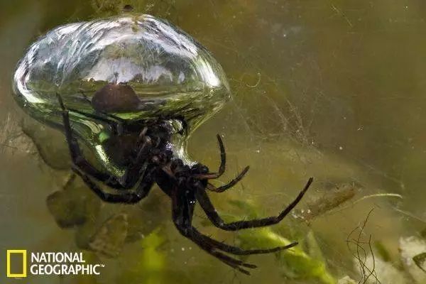 如果当年有这种金属,泰坦尼克号可能就不会沉没了