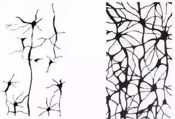 放下电子产品,不然孩子真的会变傻