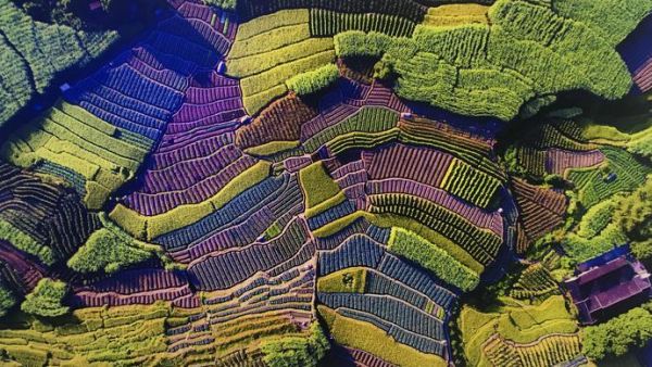 高速公路收费站消失的背后,智能物联网开启“战国时代”