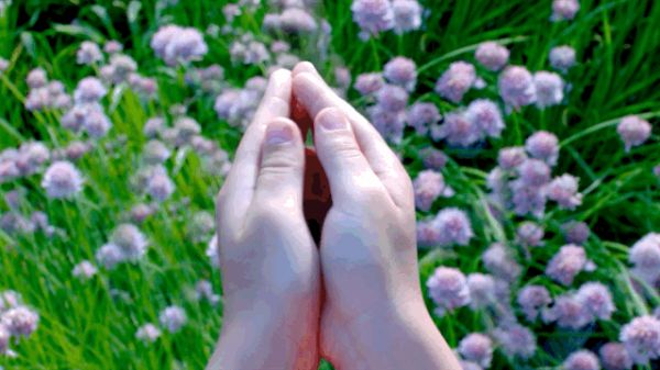 烧光24亿美元：明星AR公司Magic Leap将专利全部抵押给摩根大通