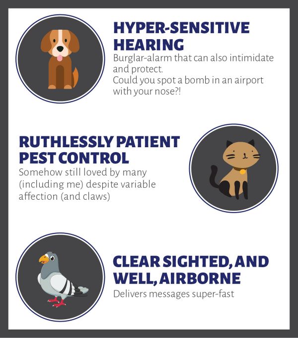 关于自动驾驶汽车,我们需要开始思考这5个问题