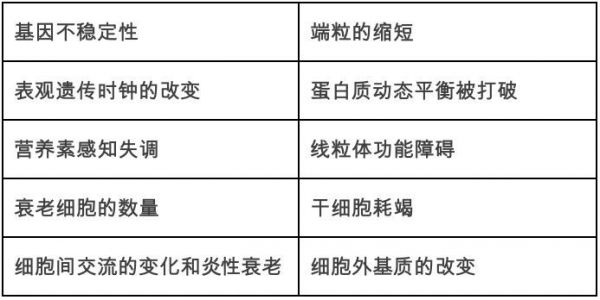 把大脑从衰老的身体里分离出来?“长寿科技”让人类活200年不再遥远
