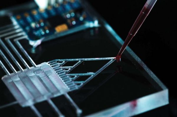 把大脑从衰老的身体里分离出来?“长寿科技”让人类活200年不再遥远