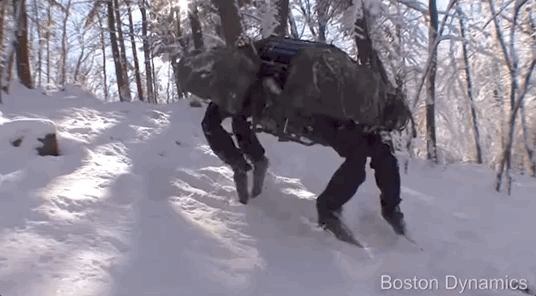 最生动的机器人终于要上市了,它能干嘛?