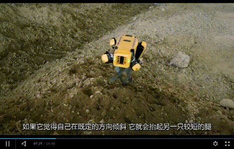 最生动的机器人终于要上市了,它能干嘛?