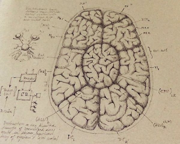 AI要进一步发展,必须寻找“智能的通用理论”