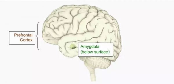 科学家找到了“消除”最痛苦记忆的方法,你愿意尝试吗?