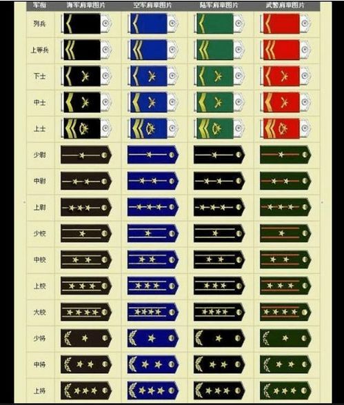 创业公司失去了增长,你啥也不是