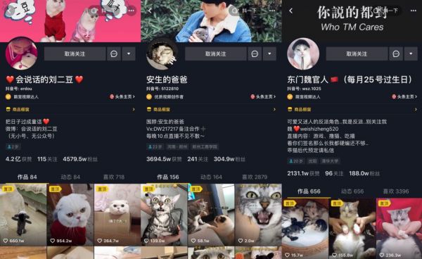 在抖音,如何捧红一只猫?