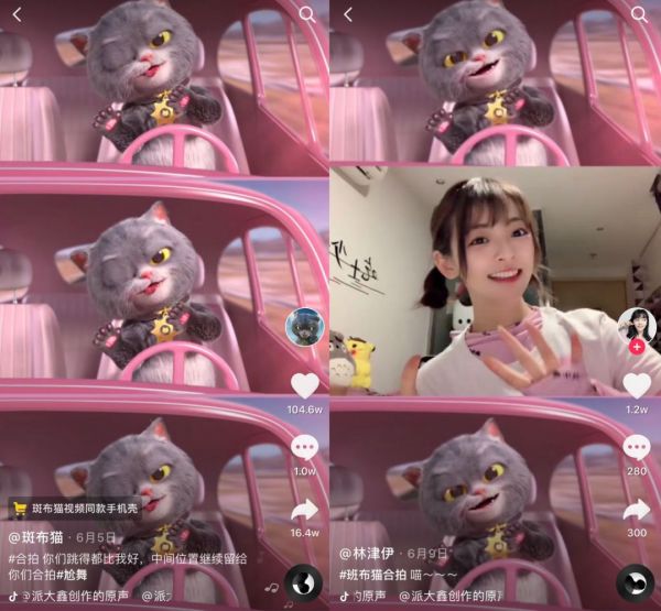 在抖音,如何捧红一只猫?