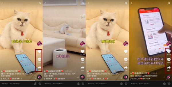 在抖音,如何捧红一只猫?