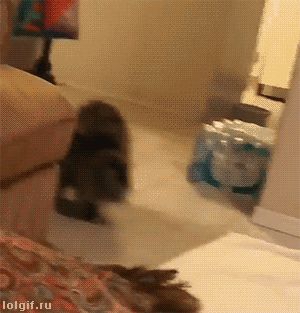 三年一剑差评万千,Google云游戏玩砸了吗?