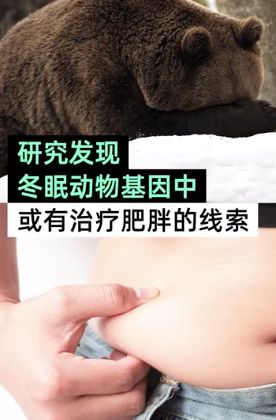 科技神回复 | 国家天文台发现迄今最大的黑洞,网友:太深奥了,那就666吧