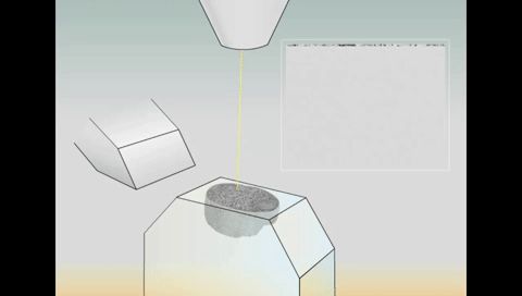 七年终登Science封面：最强大脑皮层神经网络重建，揭示迄今哺乳动物最大神经线路图