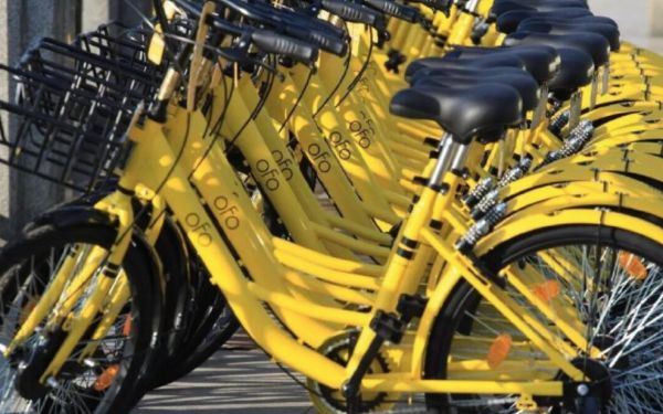 科技神回复 | 网易与被裁员工达成和解,下次HR招聘先问清是不是自媒体