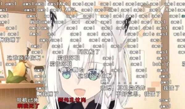 AWSL成B站年度弹幕,这些年轻人在想啥?