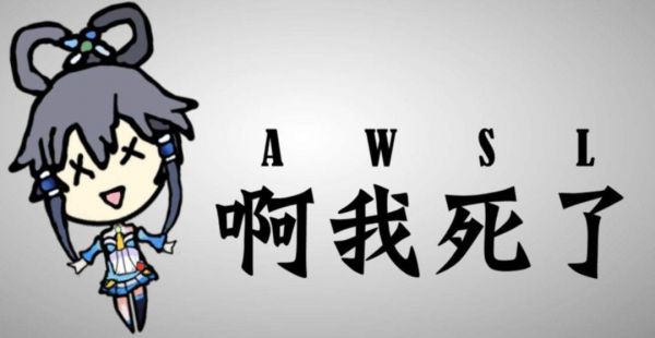 AWSL成B站年度弹幕,这些年轻人在想啥?