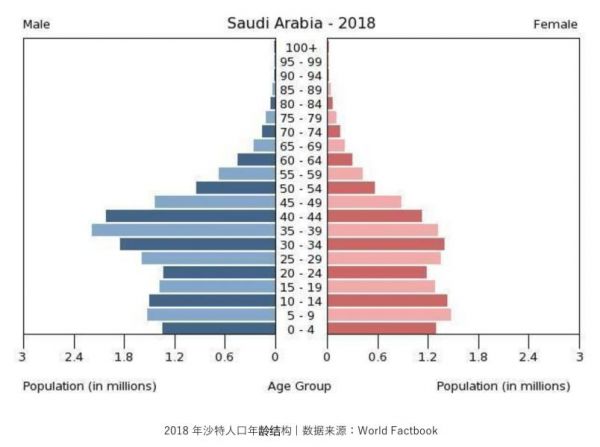 秃顶码农如何在沙特大发横财?