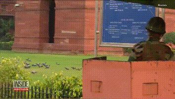 杀人猴肆虐引起民愤,印度求助“猴脸识别”“大数据绝育”技术