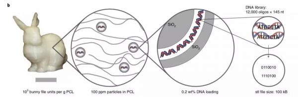 图|斯坦福兔子的还原结构。（来源：《自然-生物技术》）