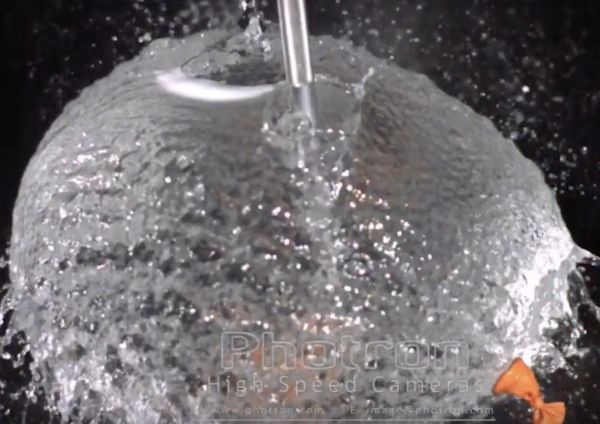 “猫是液体吗?”科学家们认真研究了这个问题